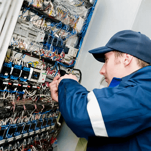 Initial Verification